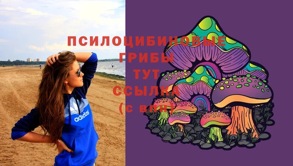 mdpv Алзамай