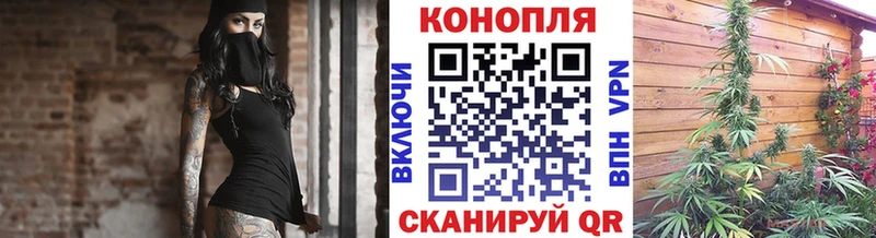 где можно купить   Ленинск  Шишки марихуана планчик 